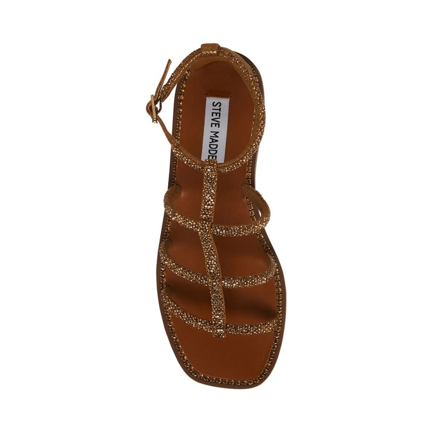 Dark Brown Steve Madden Neptune Women's Flat Sandals | PH 5348MIZ